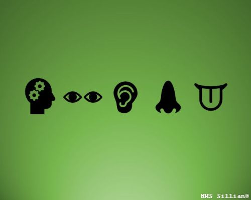 Fähigkeiten- und Stärkentag