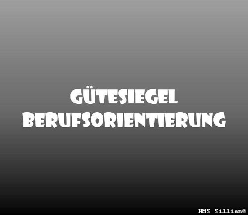 Gütesiegel „Berufsorientierung Plus“ für die NMS Sillian