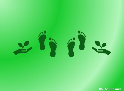 Unser ökologischer Fußabdruck