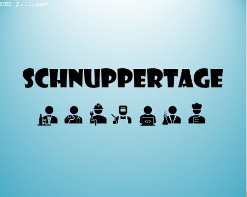 Berufspraktische Tage