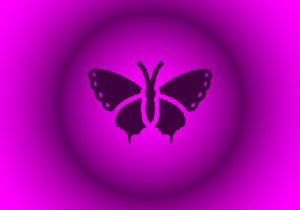 Atelier der Schmetterlinge