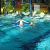 schwimmer012