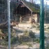 wienwoche293