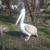 wienwoche298