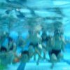 schwimmwoche13