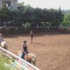 sommersportwoche_17_112