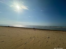 sport_sprachwoche_119