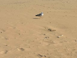 sport_sprachwoche_125